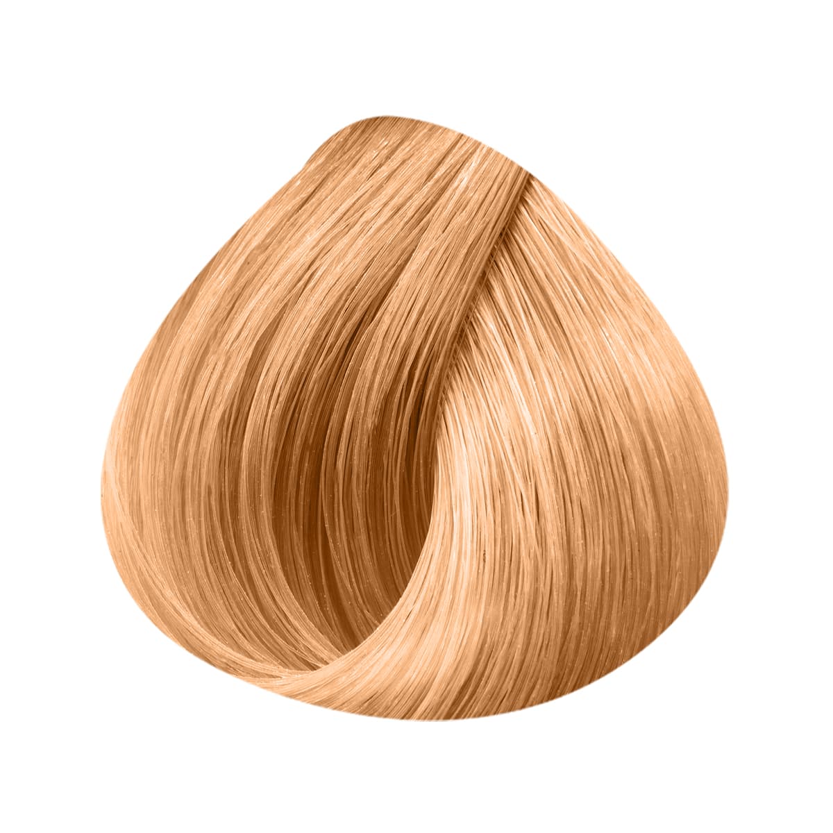 Miniature 5